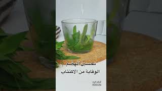 مشروب الحبق #مشروبات_ساخنة