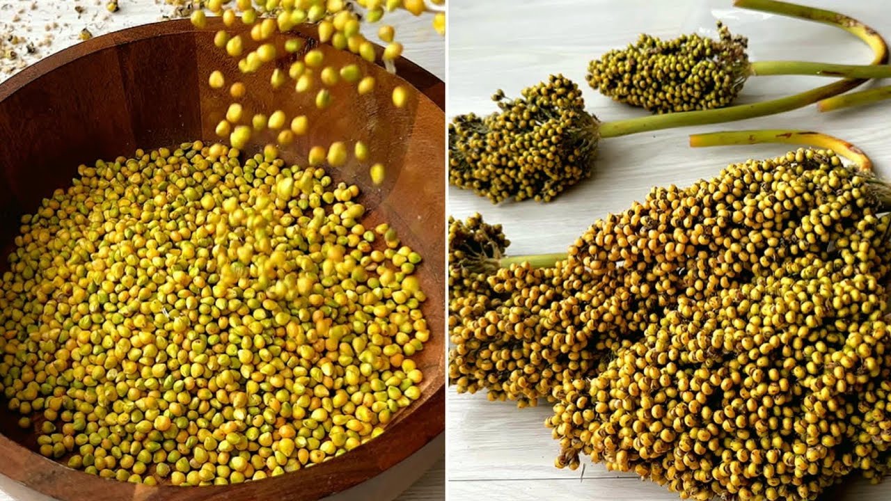 فتة الذرة الحمرا والمدسوع اليمني بالحليب والسمن البلدي اكلات يمنية تدفي البطن♥️