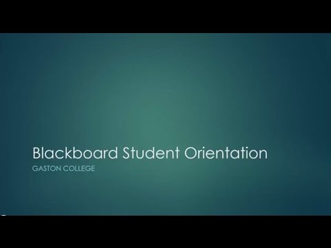 Gaston College - Blackboard Student Orientation