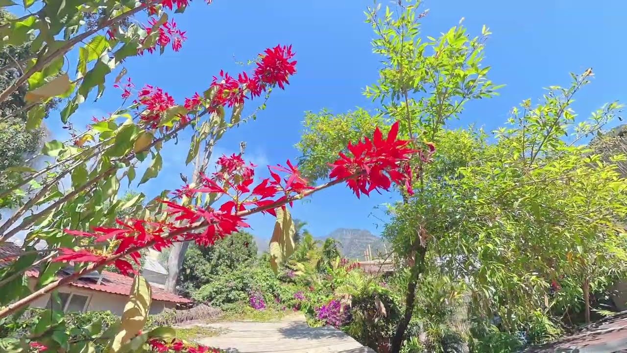 Guatemala 😍 Recorrido de San Marcos en el Lago Atitlan y La Reserva Natural Cerro Tzankujil 🌋🫧