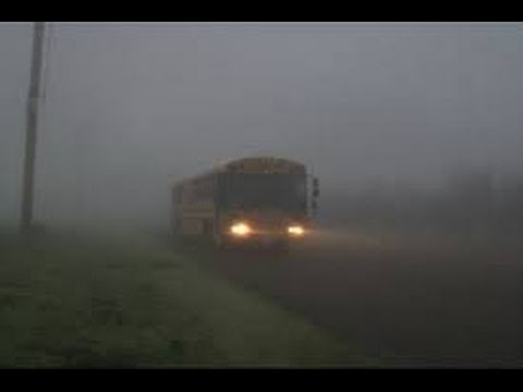 Hoe kunt u uw auto te rijden in Mist