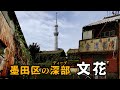 墨田区の深部　文花　墨田区・東京ディープスポット　Bunka, Sumida Ward, in the heart of Sumida Ward