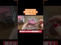 #キャンメイク  #パウダーチークス  #全色レビュー