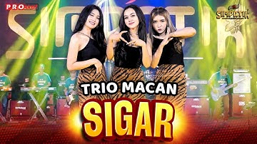 SIGAR - TRIO MACAN | SIMPATIK MUSIC  (OFFICIAL MUSIC VIDEO)