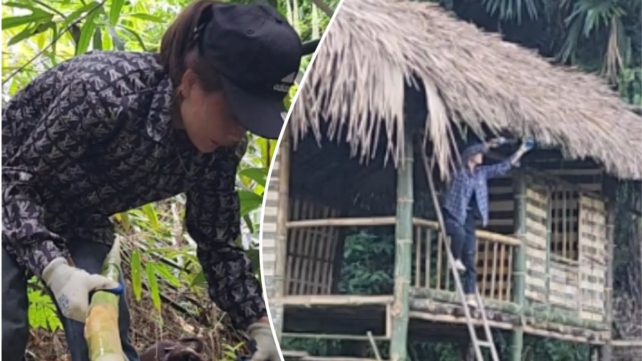 single mother goes to the forest to pick bamboo shoots, completes the ...