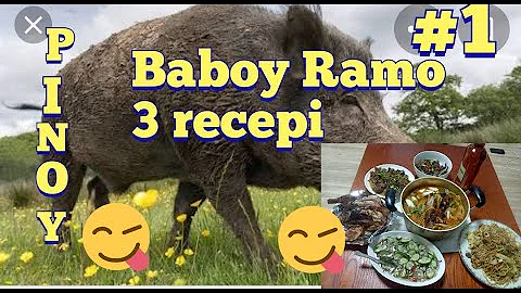 BABOY RAMO RECEPI