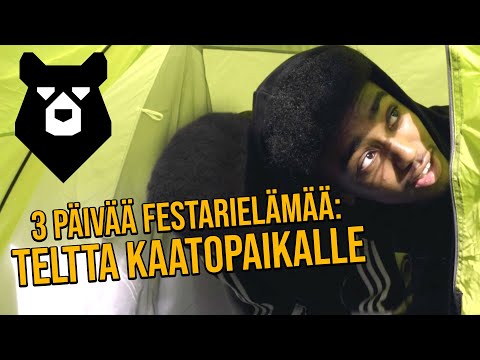 MAJOITUS METSÄSSÄ: HOTELLI