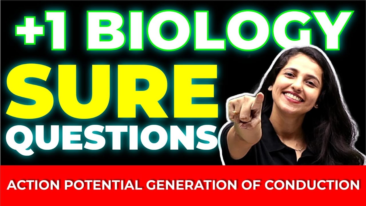 Plus One Biology Public Exam | Sure questions | Action Potential Generations of Conduction