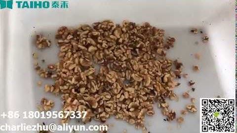 WALNUT SORTING BY NIR SORTER (Nuts and Shell Separated )