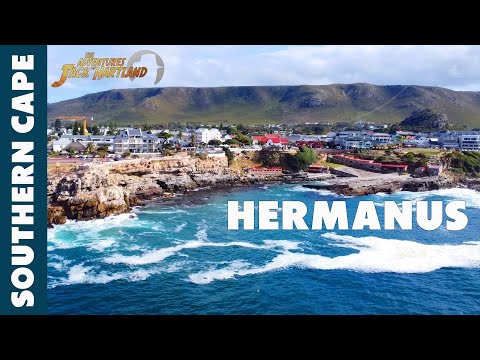 Hermanus