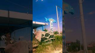 Ikçı Ikçıosman Şliturnabalığı