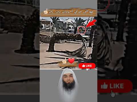 هي ليست مجرد نخلة إنها آية تذك رناأن عظمة الله ت راها حتى في انحناءة شجره سبحان الله  