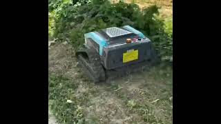 Professional Garden tools manufacturer.#RemoteControlLawnMower #OrchardWeeding #SlopeTrimming