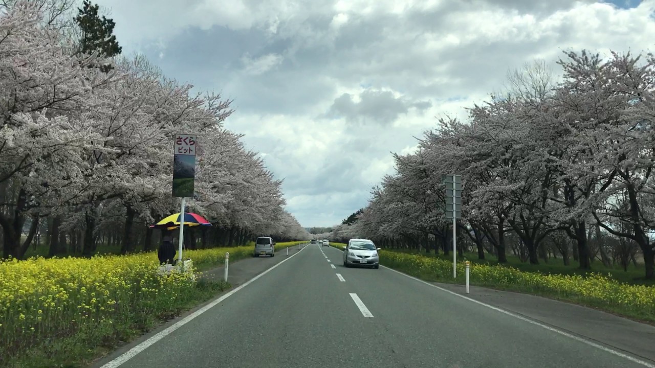 秋田の春 2017 YouTube