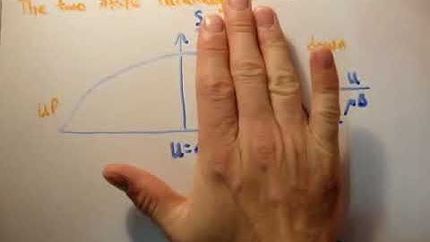Thermodynamics 32   Two State Paramagnet 1 2