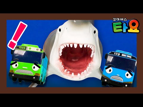 <strong>Shark</strong> Attack Adventure with Tayo l Tayo <strong>Heroes</strong> 2 l Tayo the Littel Bus