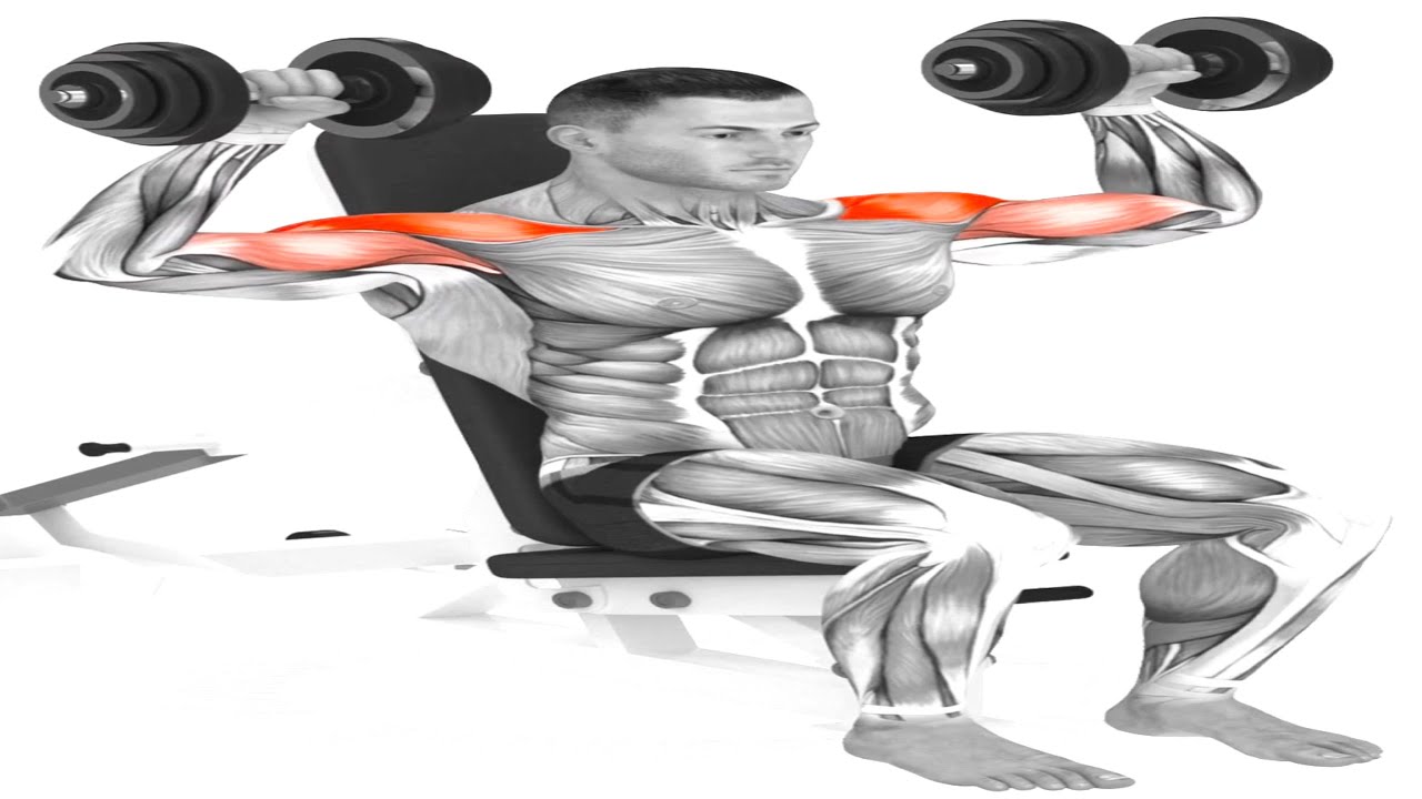FULL SHOULDERS WORKOUT! - YouTube