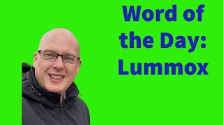 Word of the Day:  Lummox