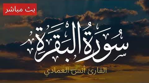 سورة البقرة كاملة مكررة طاردة للجن والشياطين والسحر في كل مكان, بصوت أنس العمادي، بدون اعلانات