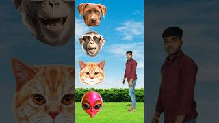 Diffirent animals head to chawmeen,, momos,, golgappe &amp; samose - funny vfx video 💞🙏
