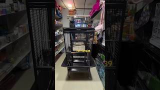 Macaw & cockatoo cages for sale in Chennai | imported bird cage in Chennai | bird aviary