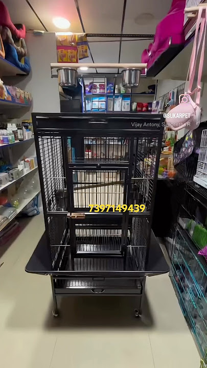 Macaw & cockatoo cages for sale in Chennai | imported bird cage in Chennai | bird aviary