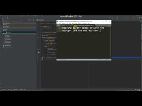 flutter padding and margin