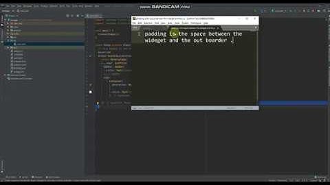 flutter padding and margin