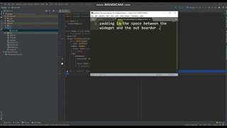 flutter padding and margin