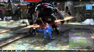 Vindictus - Arisha - Hard Klaus - Solo - No Potions - No Transformation