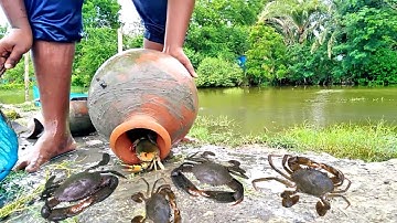 Amazingly Mud Crabs Trapping in Clay Pitcher || New Technique of Mud Crab Catching