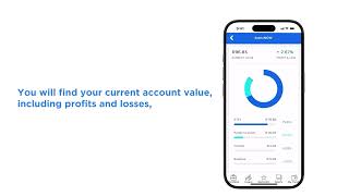 How The Account Overview Works On The Satrixnow App Navigate Your Portfolio Dashboard