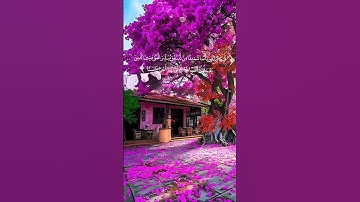 لا تنسوا قراءة سورة الكهف في يوم الجمعة ❤️