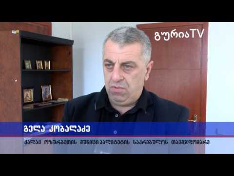 გურიის ახალი ამბები – ქალაქ ოზურგეთის საკრებულოს სხდომა