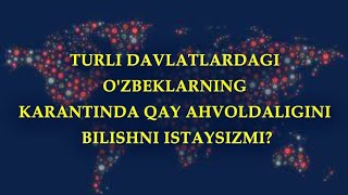 TURLI DAVLATLARDAGI MUSOFIRLAR, KARANTINDA QAY AHVOLDA?#Toshkent#Turkiya#Virus#Pitir