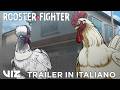 Official Anime Trailer #2 (ITALIAN DUB) | Rooster Fighter | VIZ