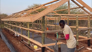 How We Built a Giant Bee House From Scratch!