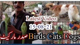 Saddar Birds Market Latest Sunday 15-08-2021 Update | Lalokhet Market 15-8-21