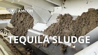 Dewatering Tequila Spent Wash The Biggest Volute Duo In Action Tequila Campo Azul
