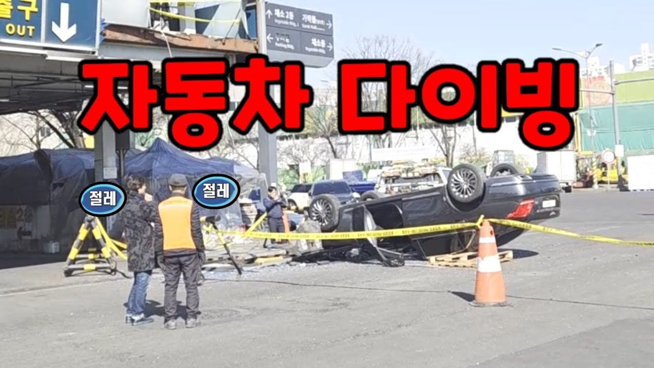 안전벨트의 중요성.......도참시 블랙박스 : 2026 최신블박영상