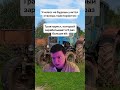 #меллстрой #юмор #прикол #шутка