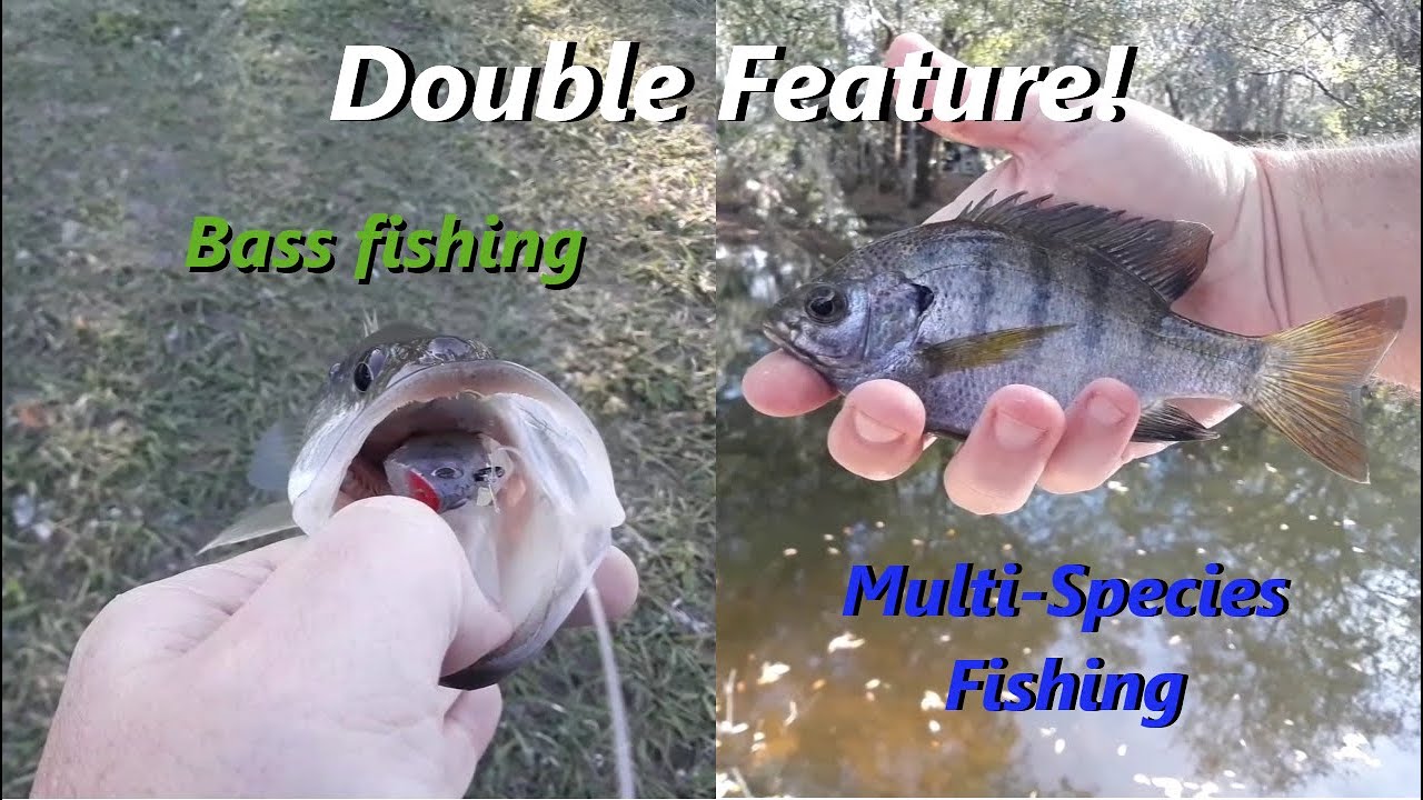 Bass fishing/Multi-species fishing! 