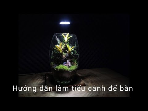 Video: Cách Làm Hình Muối Trong Lọ Thủy Tinh