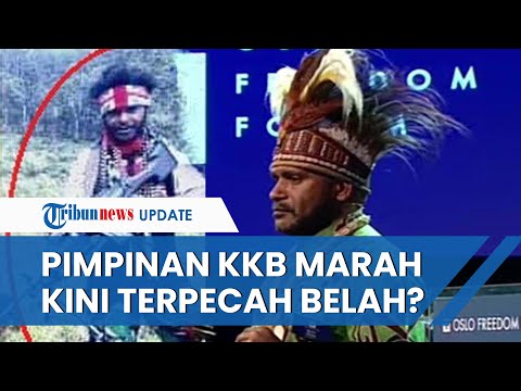 Viral Video KKB Papua Terpecah Belah, Egianus Kogoya Marah & Sebut Benny Numpang Hidup dari Aksinya