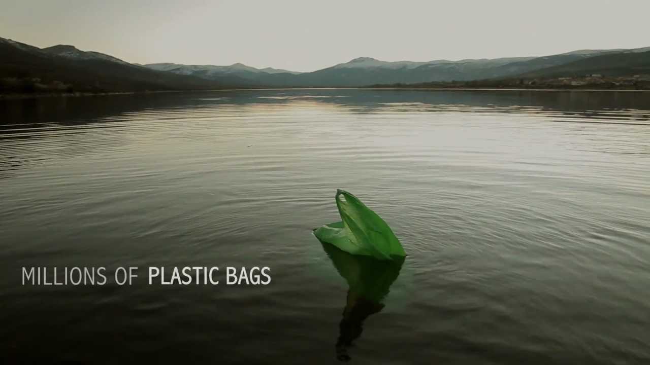 The Ballad of the Plastic Bag