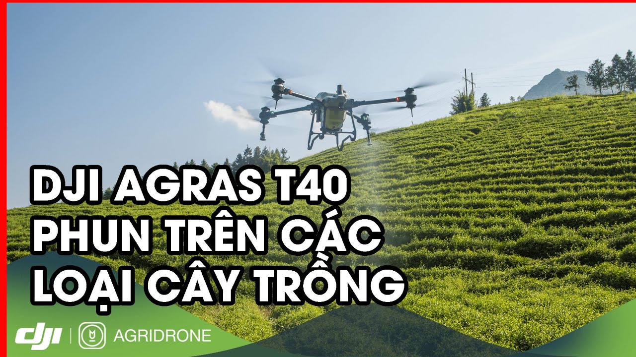 Máy bay nông nghiệp DJI T40 sạ lúa, rải phân bón và phun trên các loại ...