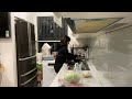 Kitchen Chronicles: A Culinary Exploration in My Space