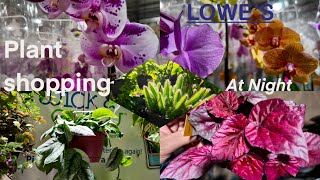 Come plant shopping with me at Lowe’s! | Night time✨