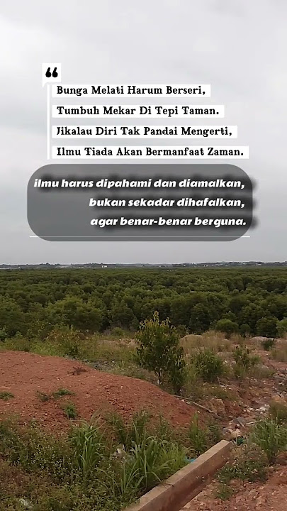 kata kata bijak #katakatabijak #motivasi #quotes