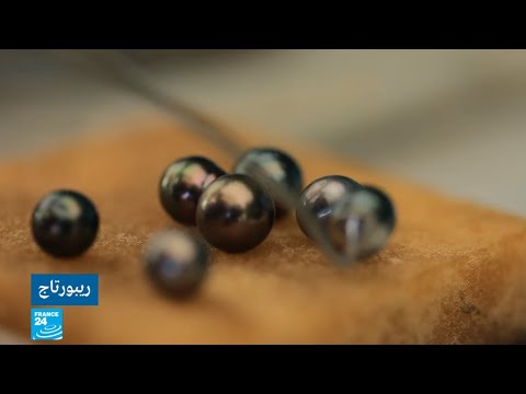 فيديو: هل لآلئ تاهيتي قيمة؟